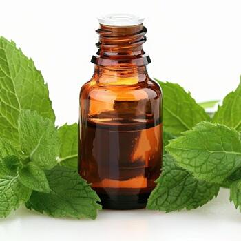 E-book ZDARMA: Objev sílu esenciálních olejů