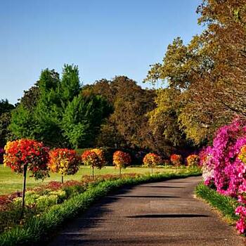 Nečekej na nachlazení – posil se přírodní cestou